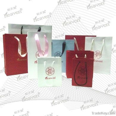 Fashion paper gift bag
