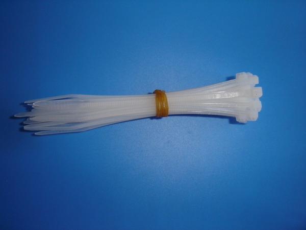 Nylon cable tie