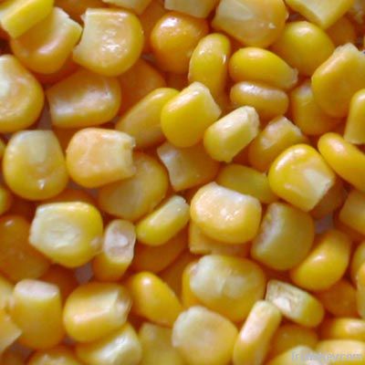 Yellow Corn