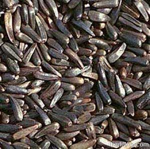 NIGER SEEDS