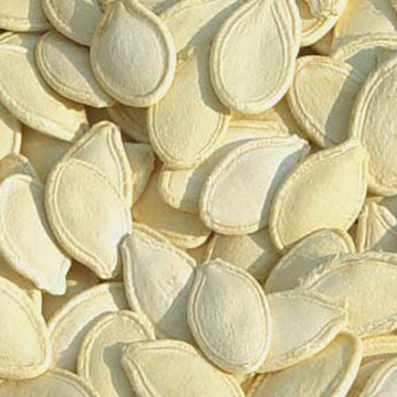 Pumpkin seeds