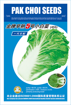 Fresh Cabbage Seeds