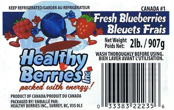 IQF Blueberries