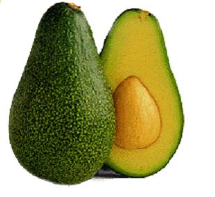 Avocado