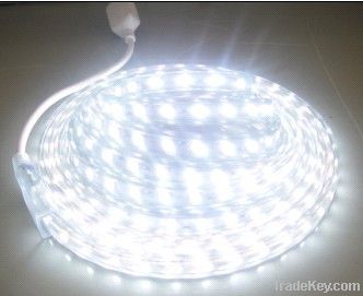 High voltage SMD5050 110/220V 30led/m 50m/reel IP67