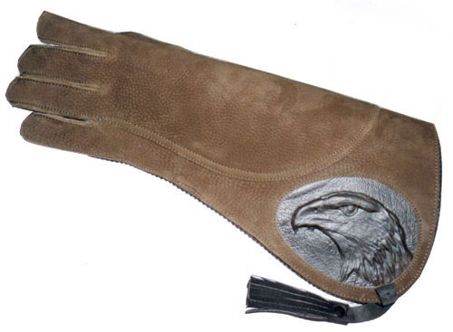 falconry glove