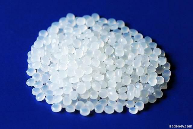 Polypropylene/PP