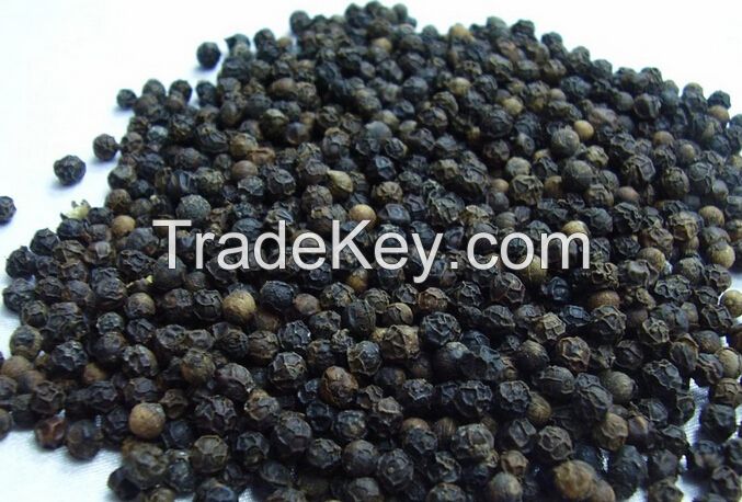Black pepper good quality and cheap price