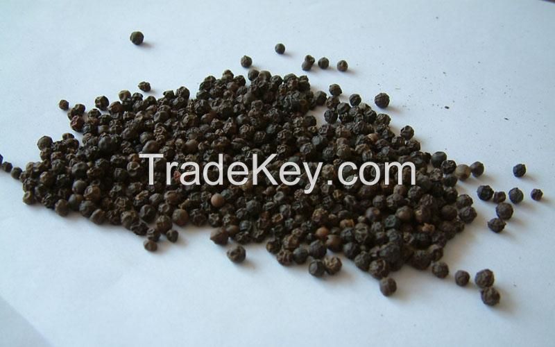 Black pepper good quality and cheap price