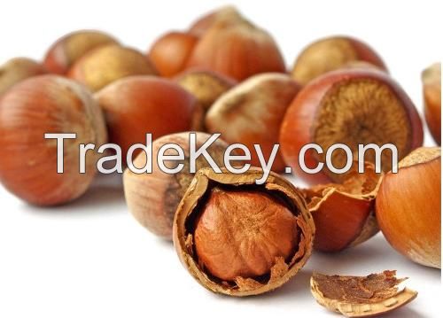 PREMIUM QUALITY HAZELNUTS AT GOOD PRICES