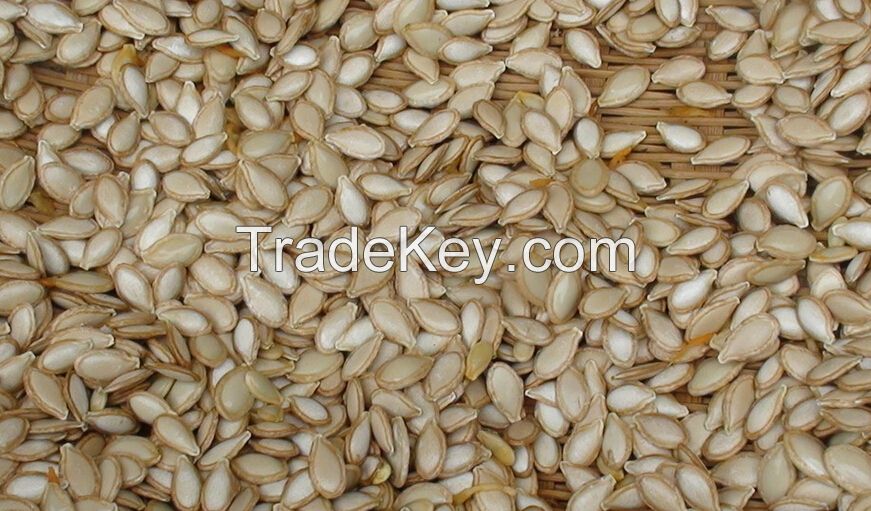 2015 New Crop Pumpkin Seeds, pumpkin seeds kernels