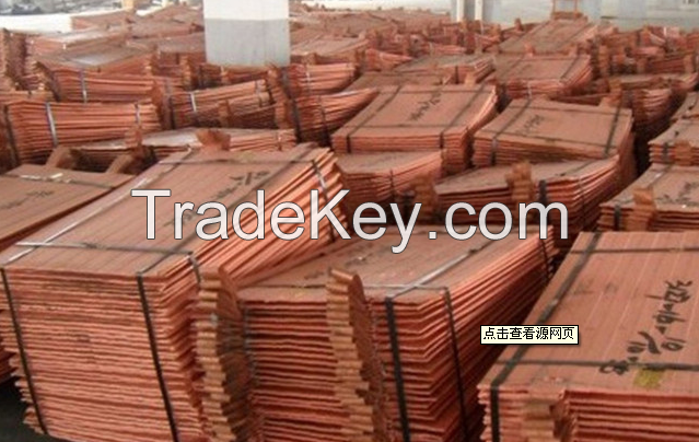 Brass Material and Plate Shape Electrical Copper Cathode 