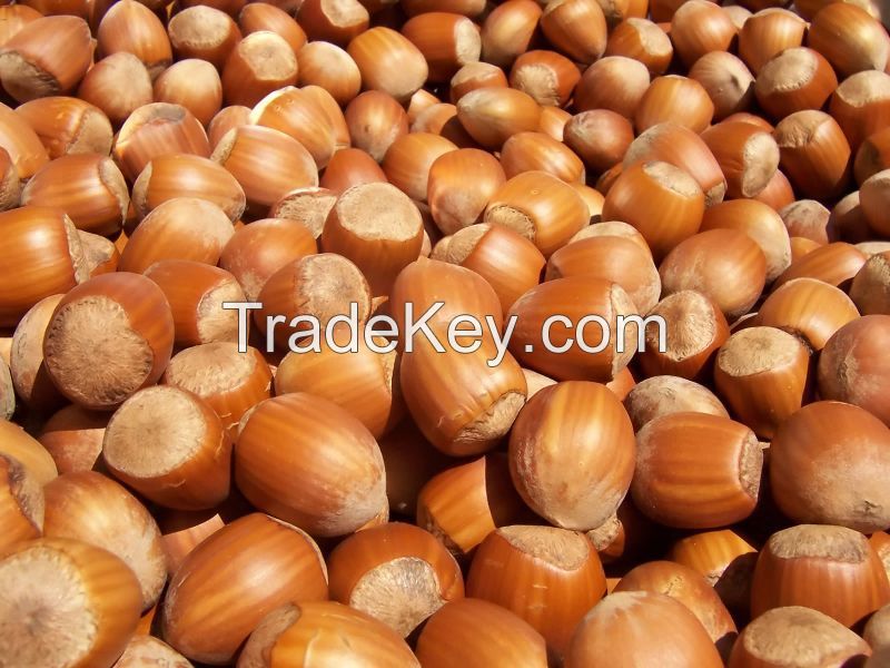 Hazelnuts