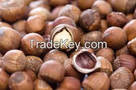 Hazelnuts