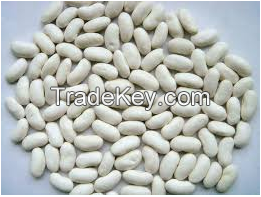 White kidney beans