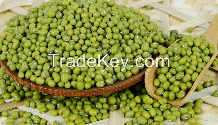 Green mung bean/black beans