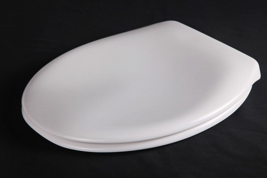 Luxury toilet seat with quick release and soft close function