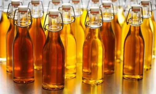 Refined  hazelnut oil in bulk