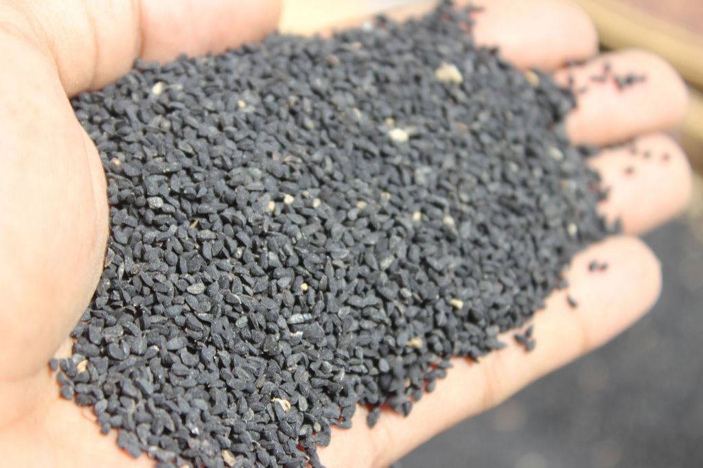 Black Cummin seed