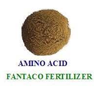 amino acid 60%