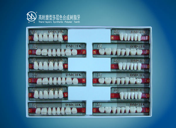 acrylic teeth 2-layers