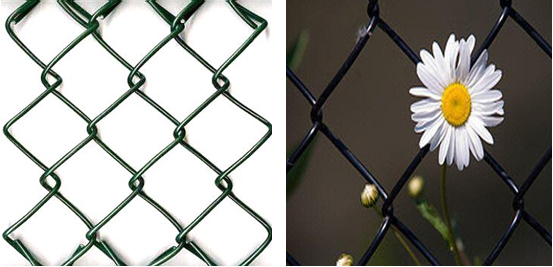 PVC Coated Chain Link Fence