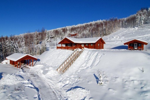 Wood cottages