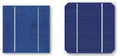 poly and mono solar cell
