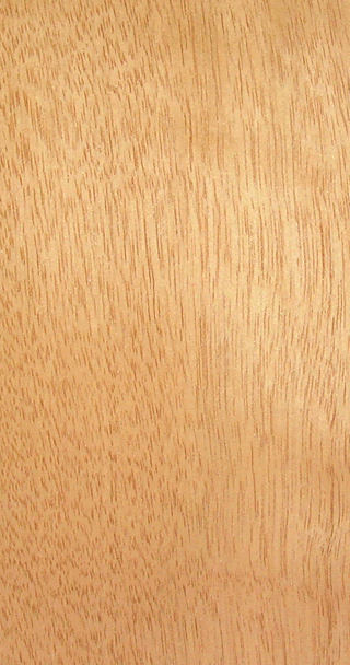 Wood Doors Internal