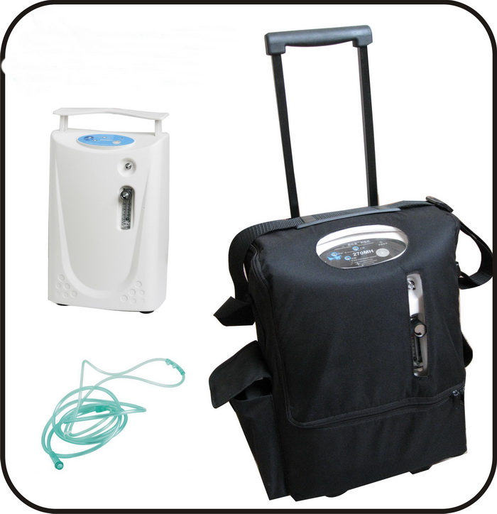 Portable oxygen generator