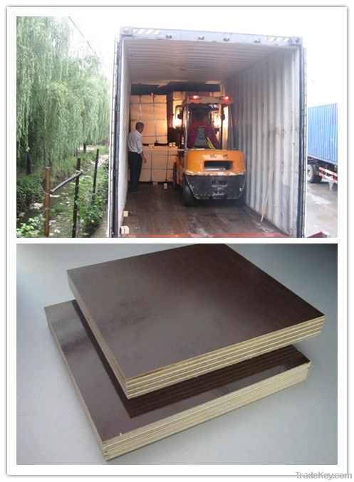 shuttering plywood/construction plywood with poplar core