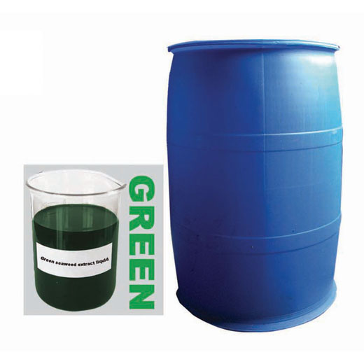 Green Organic Seaweed extract liquid fertilizer