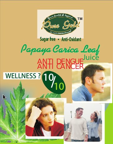 Carica Papaya Leaves Extract Juice