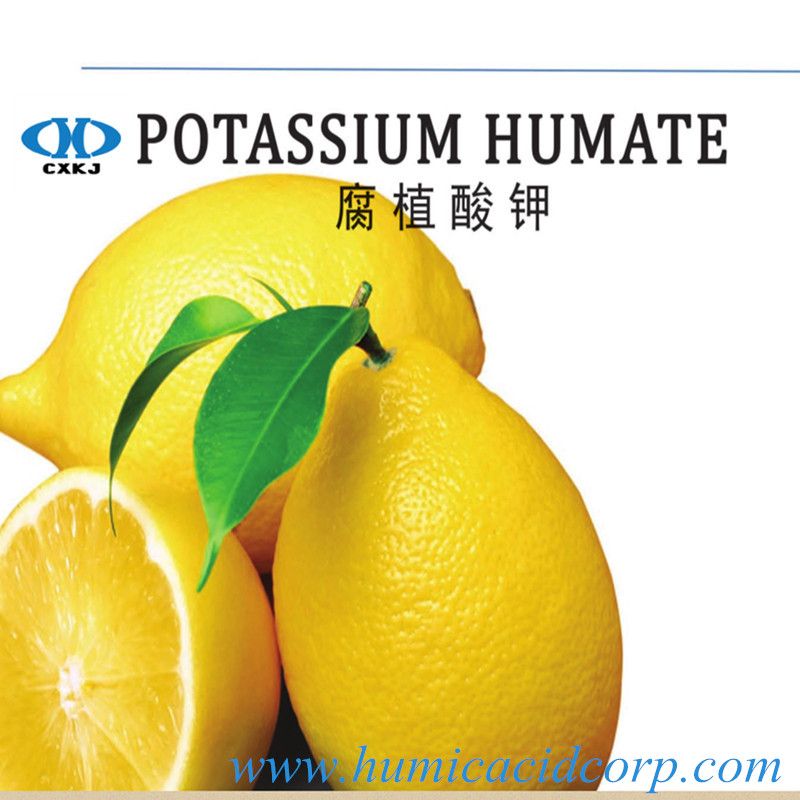 95% Water Soluble Potassium Humate