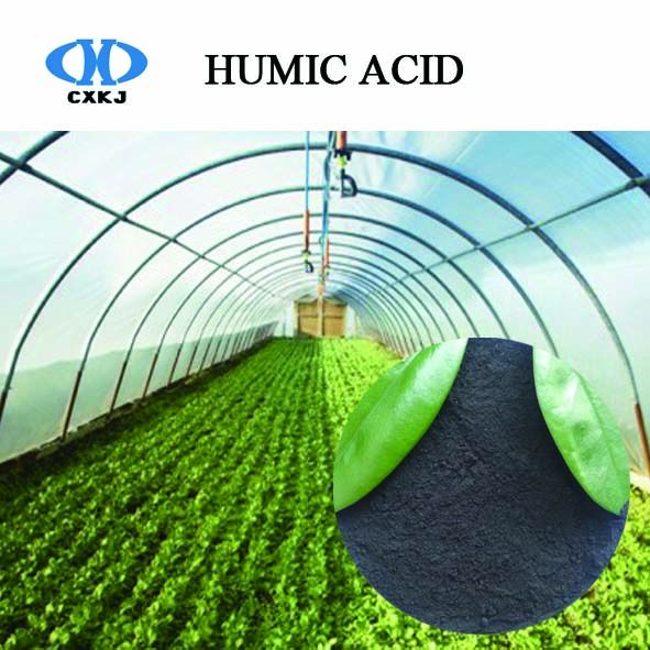 Humic acid for human consumption
