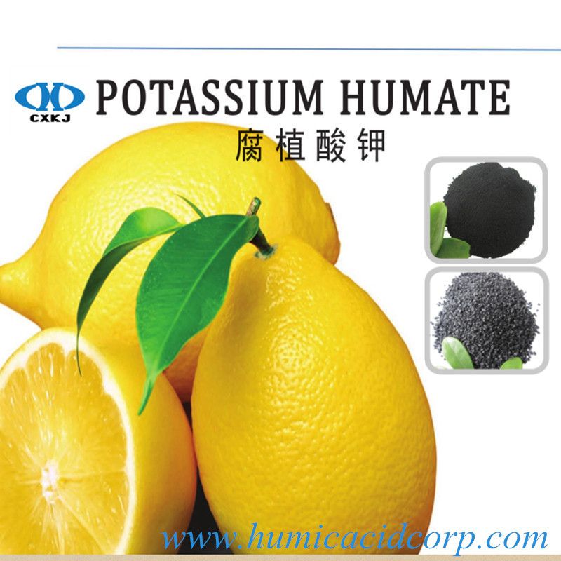 Potassium Humate Fertilizer