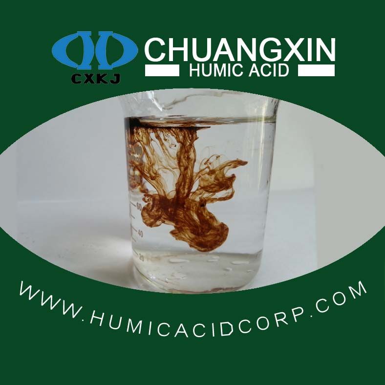 Water soluble Sodium humate for animal feed or agriculture