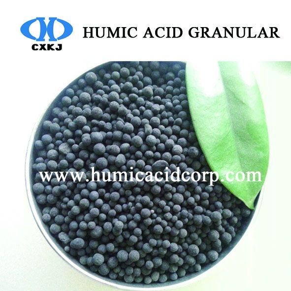 Humic Acid organic fertilizer powder and granular