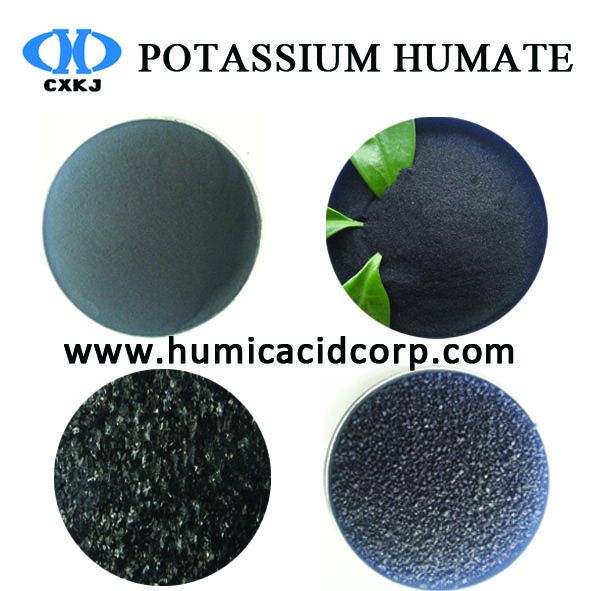 100% Water Soluble Super Potassium Humate Shiny Powder/Crystal/Flakes