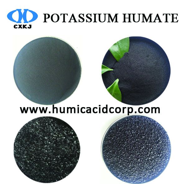 100% Water Soluble Super Potassium Humate Shiny Powder/Crystal/Flakes