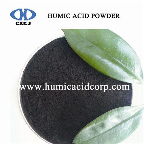 Humic Acid Powder/Granule from Leonardite