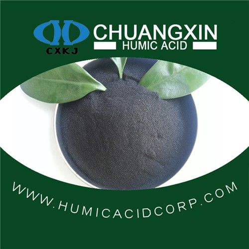 Potassium Humate Shiny Powder/Crystal/Flakes with 95% water solubility