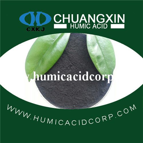 Humic Acid Powder or Granule from Leonardite