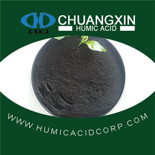 Humic acid Powder from leonardite mine