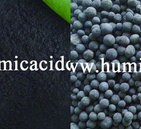 Humic Acid Powder mineral organic base fertilizer