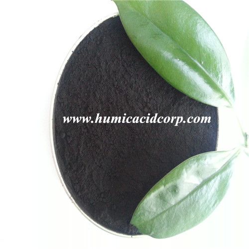 NITRO HUMIC ACID POWDER