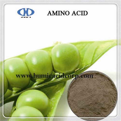 PLANT  RESOURCE  AMINO ACID