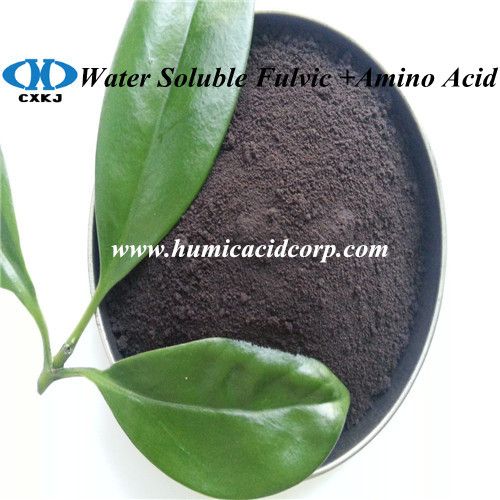 FULVIC ACID MIX WITH AMINO ACID