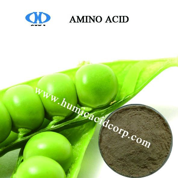 100% Water Soluble Amino Acid With Light Yellow Powder