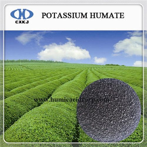 Potassium Humic Acid/Potassium Humate